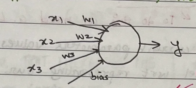 neuron